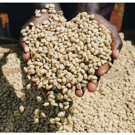 Ethiopia Koke Shalaye Single Origin Coffee Beans 250g