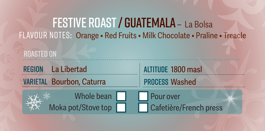 Festive Roast - Guatemala La Bolsa Single Origin Coffee Beans