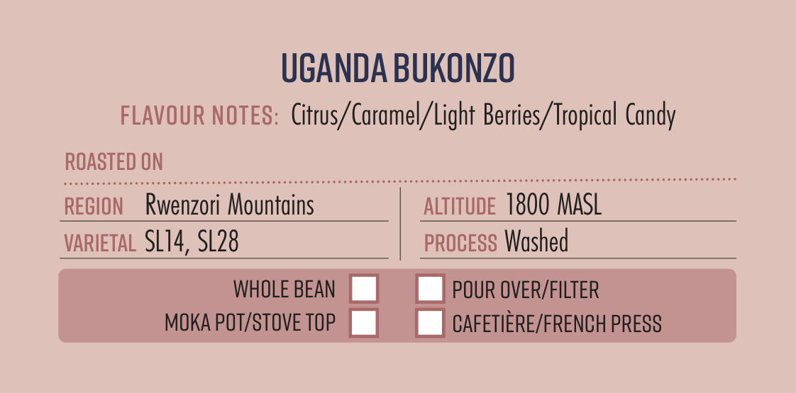 Uganda Bukonzo Single Origin Coffee Beans 250g