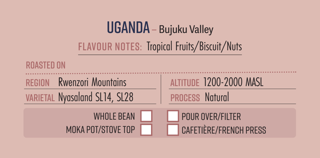 Uganda Bujuku Valley Single Origin Coffee Beans 250g