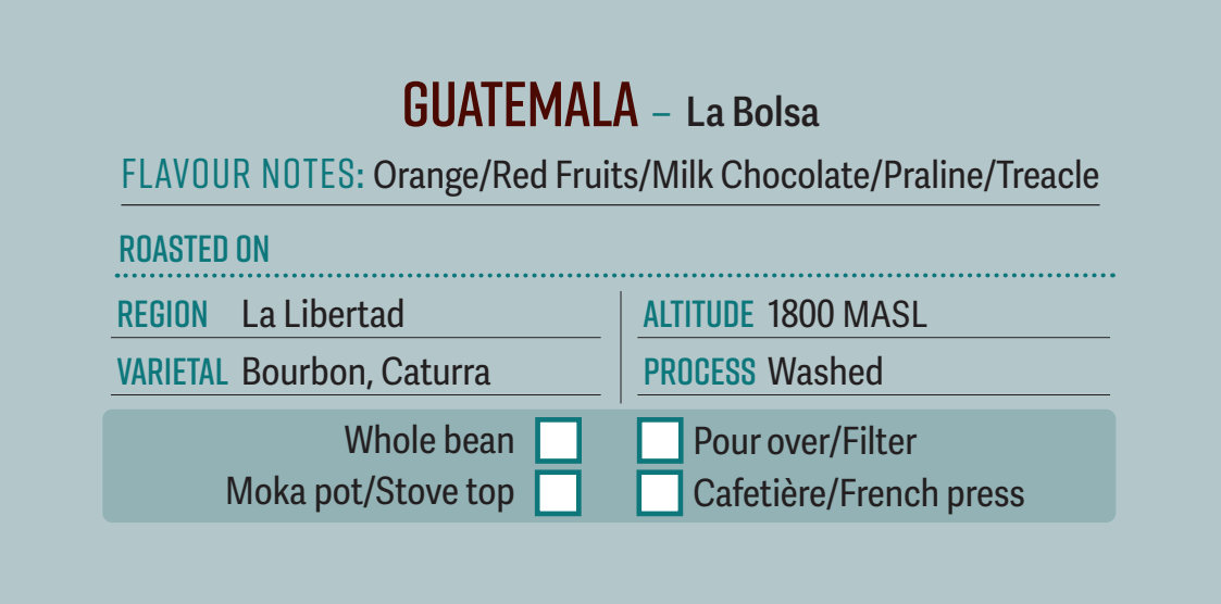 Guatemala La Bolsa Single Origin Coffee Beans 250g