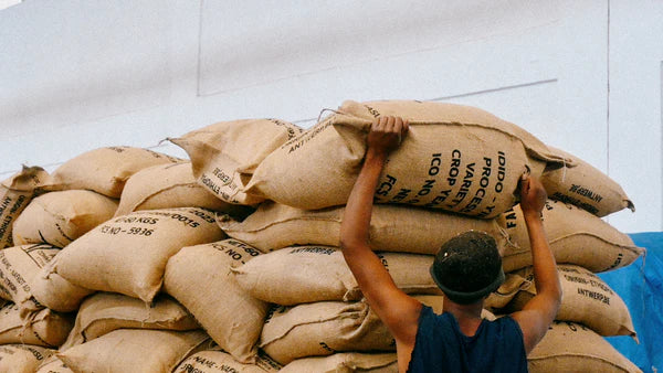 Ethiopia - Gedeb Lalesa Single Origin Coffee Beans