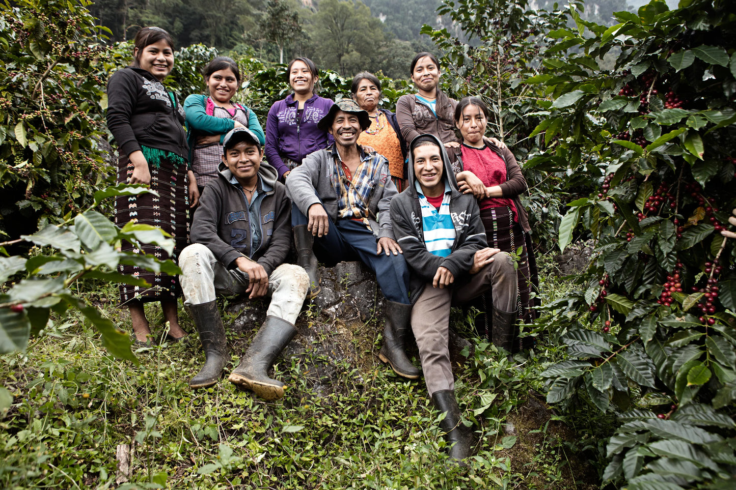 Guatemala La Bolsa Single Origin Coffee Beans 250g