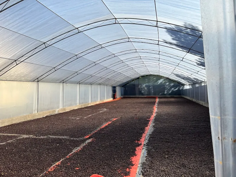 Indonesia Sumatra Iwan Patra Single Origin Coffee Beans 250G