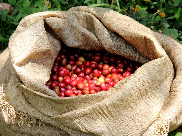 Indonesia Sumatra Iwan Patra Single Origin Coffee Beans 250G