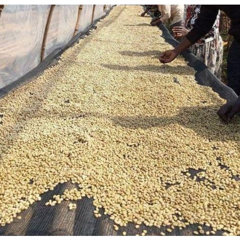 Ethiopia Koke Shalaye Single Origin Coffee Beans 250g