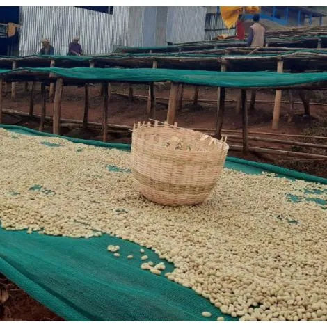 Ethiopia Koke Shalaye Single Origin Coffee Beans 250g